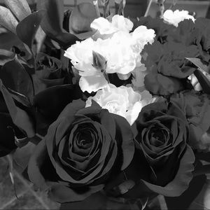 Meet your Posher, Audrey